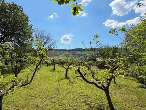 Prodej zahrady, Dlouhá Třebová, U Tří mostů, 703 m2