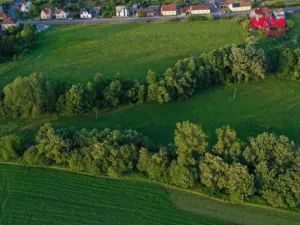 Prodej louky, Horní Bříza, 4590 m2