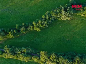 Prodej louky, Horní Bříza, 4590 m2