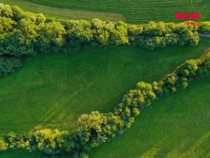Prodej louky, Horní Bříza, 4590 m2