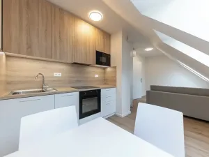 Pronájem bytu 1+kk, Praha - Bubeneč, Veletržní, 30 m2
