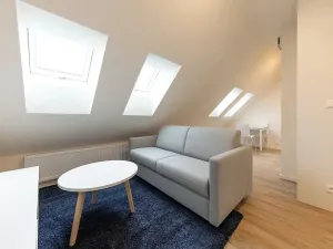 Pronájem bytu 1+kk, Praha - Bubeneč, Veletržní, 30 m2