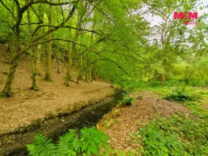 Prodej chaty, Úlice - Hracholusky, 20 m2