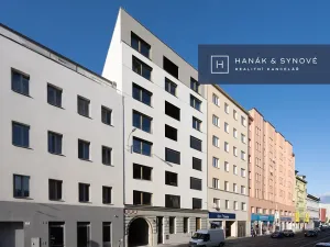 Pronájem bytu 1+kk, Brno, Cejl, 31 m2