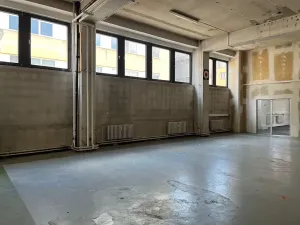 Pronájem kanceláře, Praha - Holešovice, Jankovcova, 240 m2