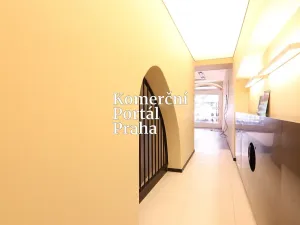 Pronájem obchodního prostoru, Praha - Nové Město, Václavské náměstí, 309 m2