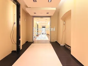 Pronájem obchodního prostoru, Praha - Nové Město, Václavské náměstí, 309 m2