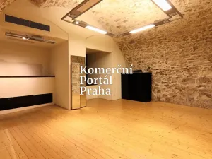 Pronájem obchodního prostoru, Praha - Nové Město, Václavské náměstí, 309 m2