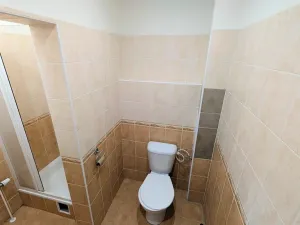 Pronájem bytu 3+kk, Peruc, U Koupaliště, 68 m2