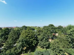 Pronájem bytu 6+kk a větší, Praha - Vinohrady, Chopinova, 204 m2