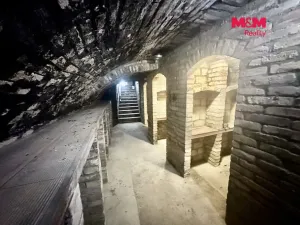 Prodej vinného sklepa, Hustopeče, Kpt. Jaroše, 80 m2