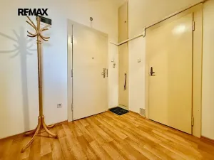 Pronájem bytu 1+1, Plzeň, Alešova, 50 m2