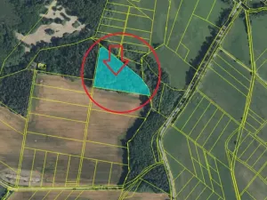 Prodej podílu lesa, Březina, 7250 m2