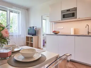 Pronájem bytu 3+kk, Plzeň, Koterovská, 54 m2
