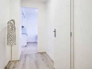 Pronájem bytu 3+kk, Plzeň, Koterovská, 54 m2