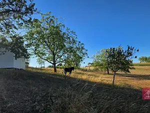 Prodej zahrady, Tvarožná, 1236 m2