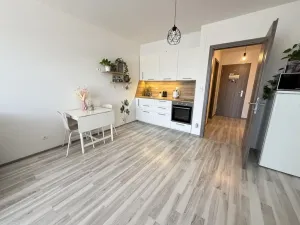 Pronájem bytu 1+kk, Rajhrad, Masarykova, 41 m2