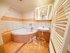 Prodej vícegeneračního domu, Liberec, Hradební, 145 m2