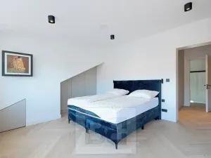 Pronájem bytu 4+kk, Praha - Karlín, Sokolovská, 183 m2