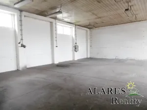 Pronájem skladu, Velký Osek, 235 m2