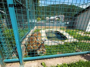 Prodej zemědělské usedlosti, Lipová-lázně, 871 m2