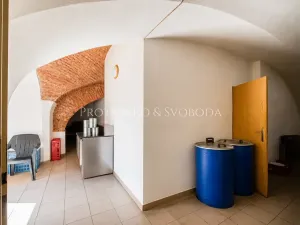 Prodej ubytování, Dobšice, Lahoferova, 218 m2