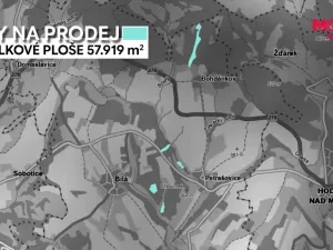Prodej lesa, Bílá, 57919 m2