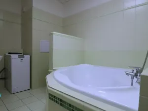 Pronájem bytu 1+1, Krnov, SPC A, 41 m2