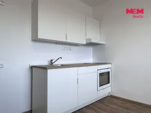 Pronájem bytu 2+kk, Ústí nad Labem - Severní Terasa, Rabasova, 42 m2