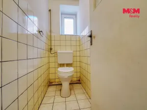 Prodej zemědělského objektu, Mezholezy, 171 m2