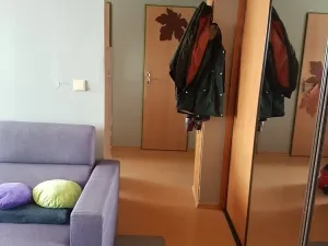 Pronájem bytu 3+kk, Rosice, Kaštanová, 60 m2