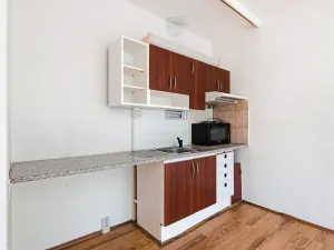 Prodej bytu 1+kk, Ústí nad Labem, Spartakiádní, 31 m2