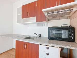 Prodej bytu 1+kk, Ústí nad Labem, Spartakiádní, 31 m2