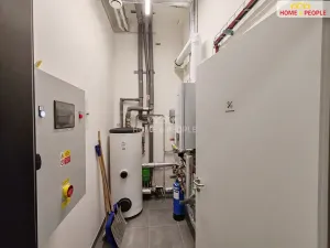 Pronájem skladu, Ostrov, 4400 m2