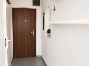 Prodej bytu 2+1, Ostrava - Moravská Ostrava, Vítězná, 55 m2