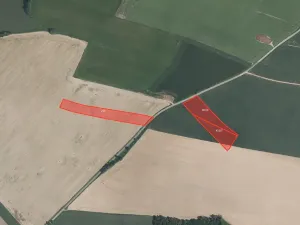 Prodej pole, Buzice, 19055 m2