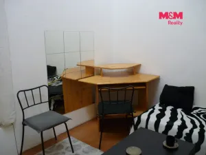 Pronájem bytu 1+kk, Praha - Vinohrady, Mánesova, 17 m2