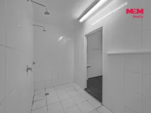 Prodej obchodního prostoru, Hradec Králové - Pražské Předměstí, Seydlerova, 195 m2