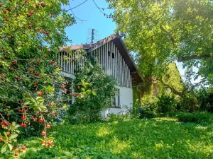 Prodej chaty, Kněžice, 41 m2