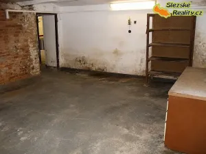 Pronájem skladu, Ostrava, 160 m2