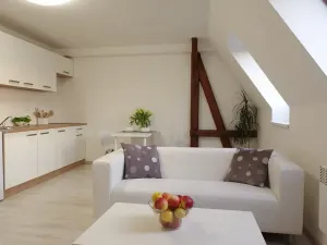 Pronájem bytu 1+kk, Olomouc, Na Vozovce, 33 m2