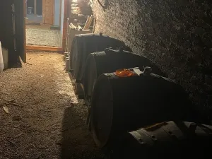 Prodej chalupy, Pincehely, Maďarsko, 64 m2