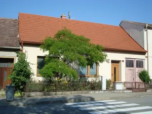 Prodej rodinného domu, Brumovice, 130 m2