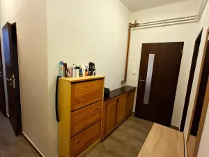Prodej bytu 2+1, Olomouc, Fibichova, 62 m2