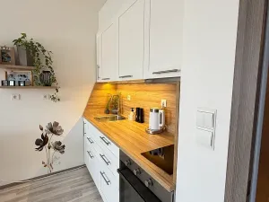 Pronájem bytu 1+kk, Rajhrad, Masarykova, 42 m2