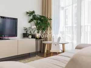 Prodej bytu 2+kk, Praha - Žižkov, Olgy Havlové, 53 m2