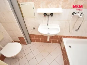 Pronájem bytu 1+kk, Letohrad - Orlice, 30 m2