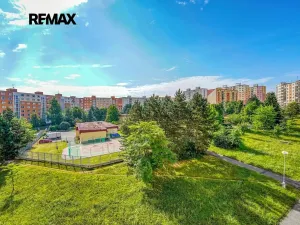 Pronájem bytu 1+1, Plzeň, Manětínská, 39 m2