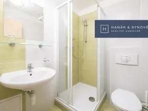 Pronájem bytu 1+1, Brno, Anenská, 43 m2