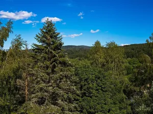 Prodej bytu 2+kk, Železná Ruda, 51 m2